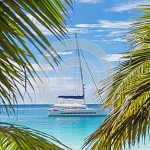 Catamaran sailing boat seen trough palm tree leaves on beach, Seychelles.
