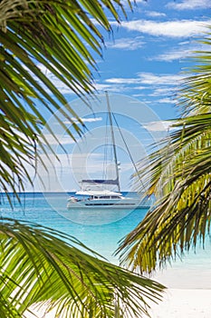 Catamaran sailing boat seen trough palm tree leaves on beach, Seychelles.