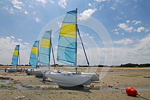 Catamaran sailing boats