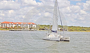 Catamaran Sailing In Charleston Harbor