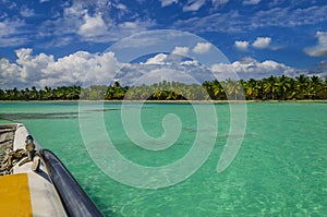 Catamaran sails among azure water, blue sky and palms