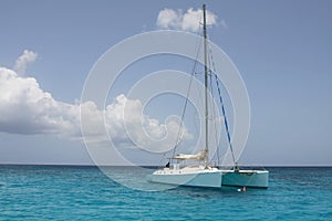 Catamaran in saona beach photo