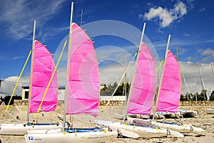 Catamarans, Brittany, France photo