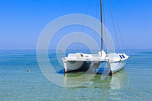 Catamaran in the sea island Dzharylhach