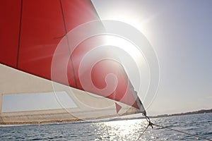 Catamaran staysail and sun