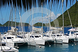 Catamarans