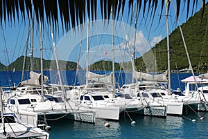 Catamarans photo