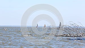 Catamarans go in the regatta by sea 012