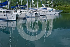 Catamarans at marina photo