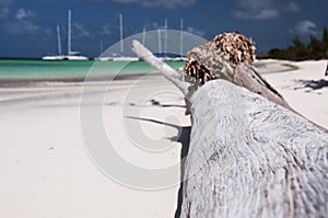 Catamarans in port of Cayo Blanco, Cuba photo