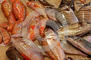 Catania fish market: an unique sightworthy place