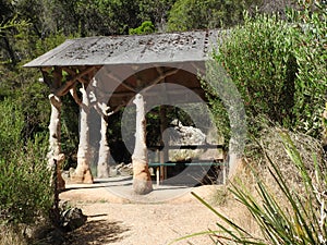 Cataract Gorge False Wood Shelter, Launceston, Tasmania