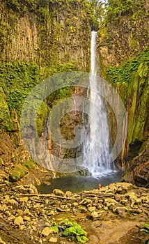 Catarata Del Toro photo