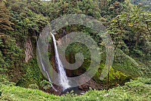 Catarata del toro Waterfall near Poas Volcano, Costa Rica