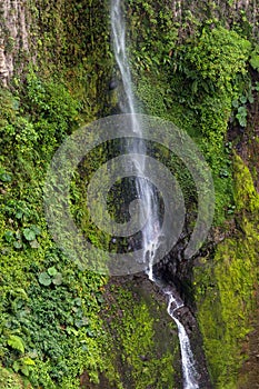 Catarata del toro Waterfall near Poas Volcano, Costa Rica