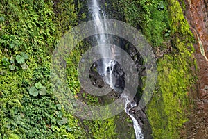 Catarata del toro Waterfall near Poas Volcano, Costa Rica photo