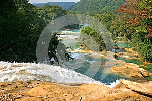 Cataratas de Agua Azul Mexico photo