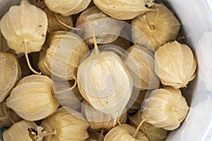 Phisalis fruit macro detail and view from above photo