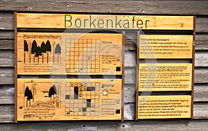 Wald sterben berge deutschland 