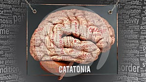 Catatonia in human brain