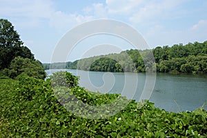 Catawba River view