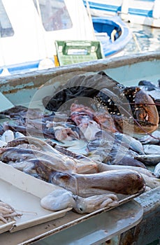 Catch of the day for sale on daily fish market in old port of Marseille, Provence, France. Fresh lobster, fish in assortment