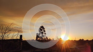 Catch an evening star