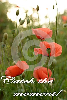 Catch the moment! Best regards on your birthday! Greeting card. Beautiful birthday card