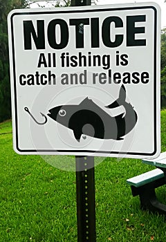 Catch and Release Fishing Sign