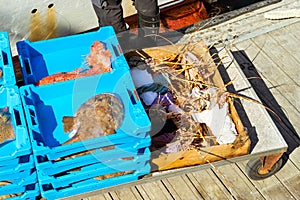 Catch sea lobster, redfish and Monkfish, Blanes