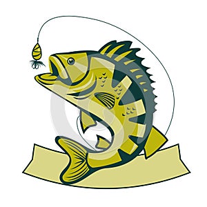 Catching Bass fish. Fish color. Vector fish. Graphic fish.