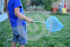 Catching bugs in the backyard with a net
