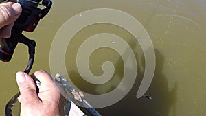 Catching carp at a commericial day ticket fishery.