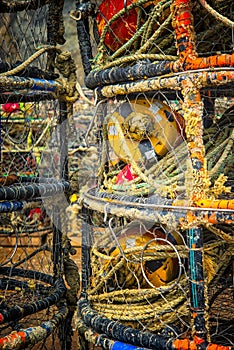 Catching Crabs, Oregon Coast