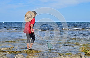 Catching Fish In The Rocks