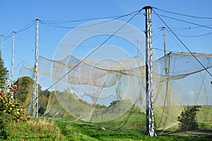 Catching nets Vente Cape Lithuania