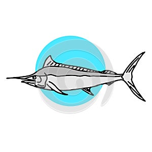Catching trout Fish. Fish Color. Vector Fish. Graphic Fish. Fish On A White Background