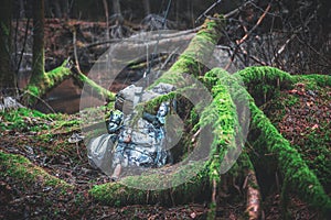 Catching trout on a forest stream. Fishing with spinning