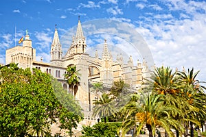 Catedral de Mallorca