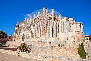 Catedral de Mallorca in daytime photo