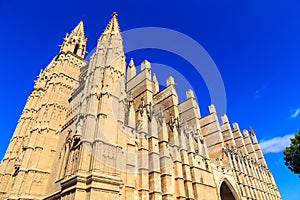Catedral de Mallorca photo