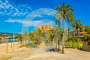 Catedral de Mallorca, Spain