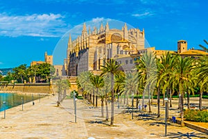 Catedral de Mallorca, Spain photo