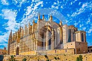 Catedral de Mallorca, Spain photo