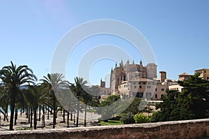 Catedral de Malorka