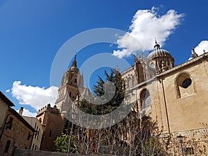 Catedral de Salamanca, EspaÃÂ±a photo