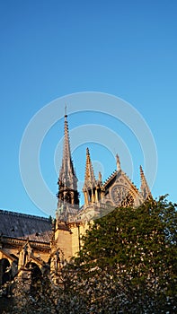 Catedral Notre-Dame de Paris in the spring