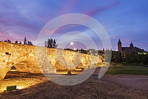 Catedral Nueva de Salamanca and Roman Bridge