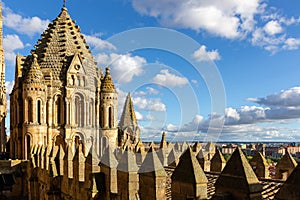 Catedral Vieja de Santa Maria de la Sede de Salamanca decorative towers, Spain. photo