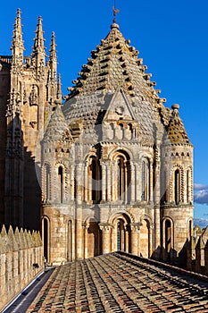 Catedral Vieja de Santa Maria de la Sede de Salamanca decorative towers, Spain. photo
